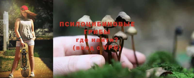 Псилоцибиновые грибы MAGIC MUSHROOMS  Красноярск 